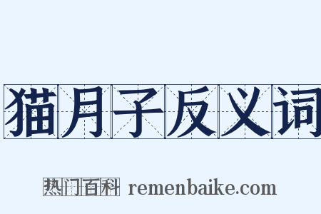 猫月子反义词是什么意思的图片